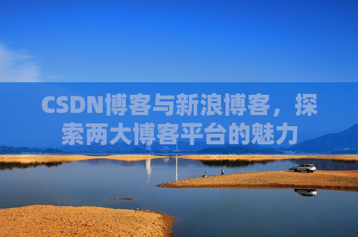 CSDN博客与新浪博客,探索两大博客平台的魅力